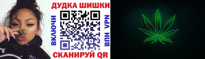 где купить наркотик  Спас-Деменск  Бошки марихуана сатива 